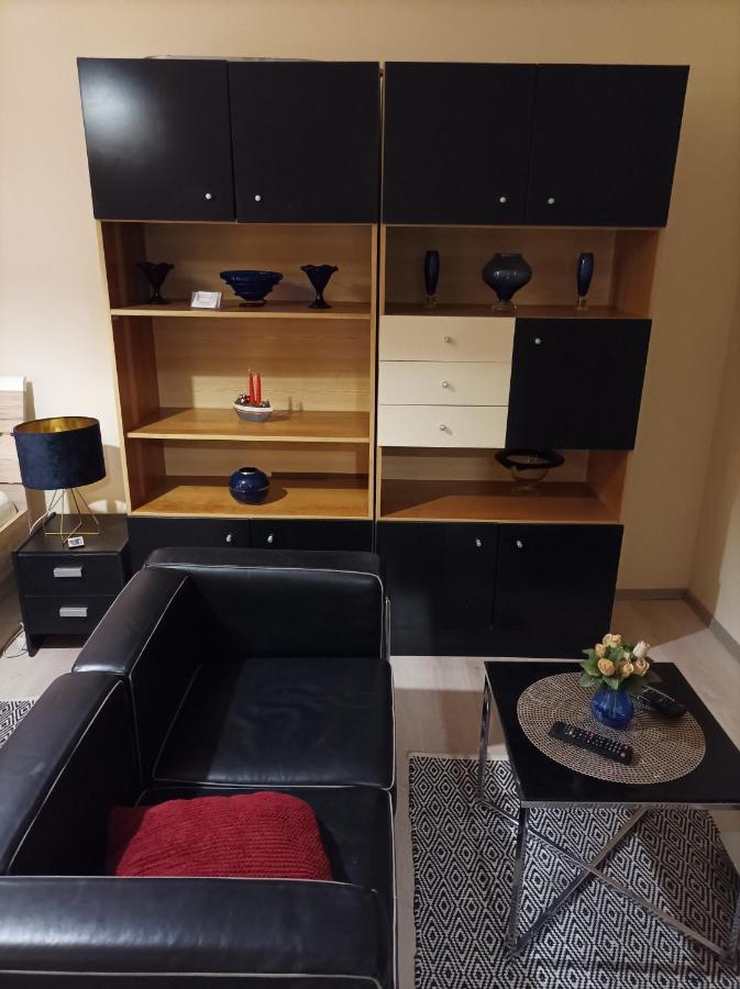 Panorama Apartment Near Szeged Plaza Экстерьер фото